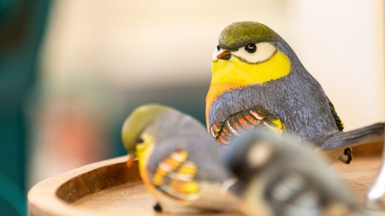 bauzentrum-farys-dekoration-05